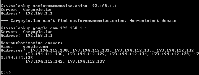 hidden-dns.gif