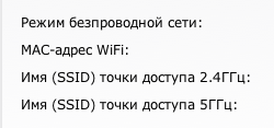 basic WLAN.png