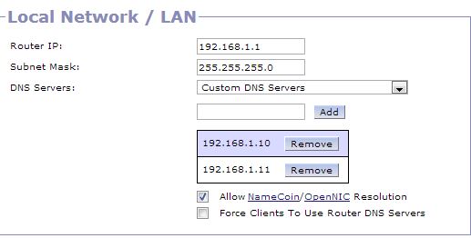 local dns