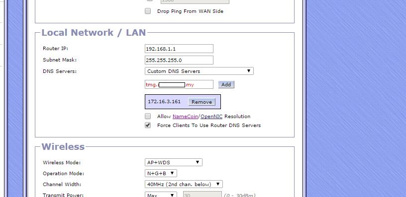 manual dns.JPG