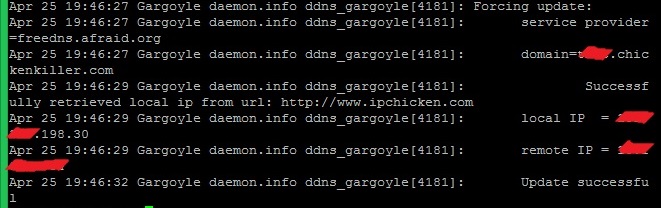 ddnsUpdateSuccess.jpg